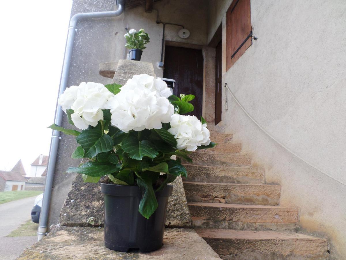 Les Marronniers Bed & Breakfast La Chapelle-sous-Brancion Exterior photo